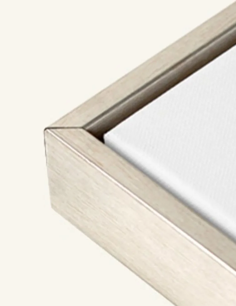 silver frame